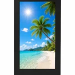 55 Inch Front-Service Outdoor Wall Mounted Display