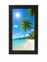 55 Inch Front-Service Outdoor Wall Mounted Display