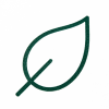 s11